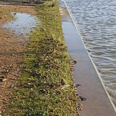 Port Perols 24decembre2025 11