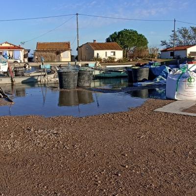 Port Perols 24decembre2025 20