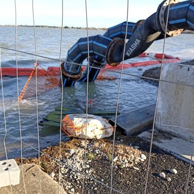 Port Perols 24decembre2025 6