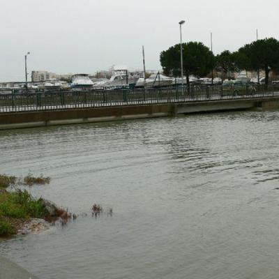 Inondations12 03 02 2009